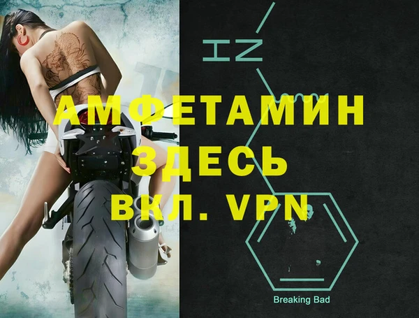 индика Инсар