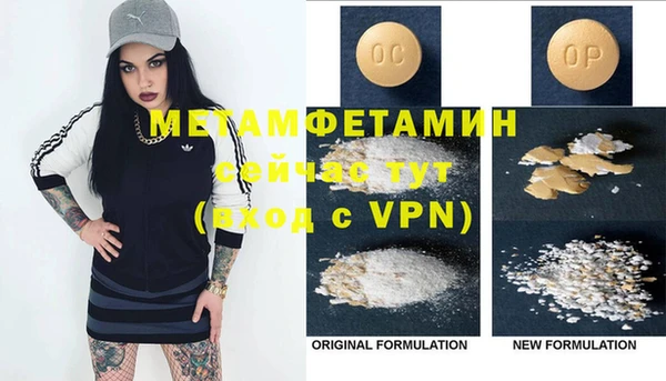 индика Инсар