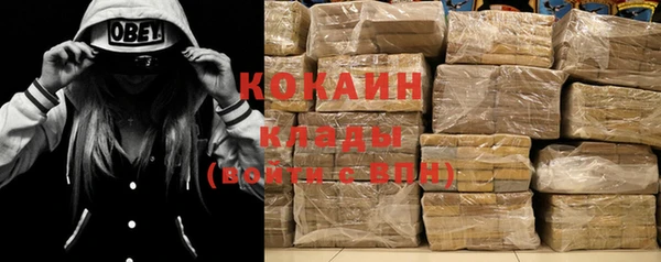 индика Инсар